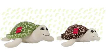 Kaplumbağa, Caretta