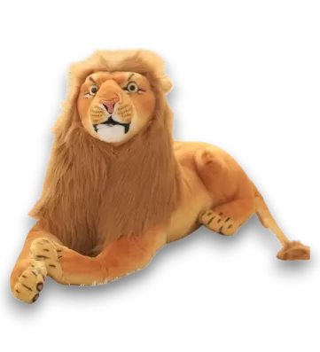 ASLAN 45 CM